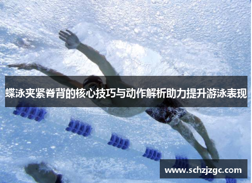 蝶泳夹紧脊背的核心技巧与动作解析助力提升游泳表现
